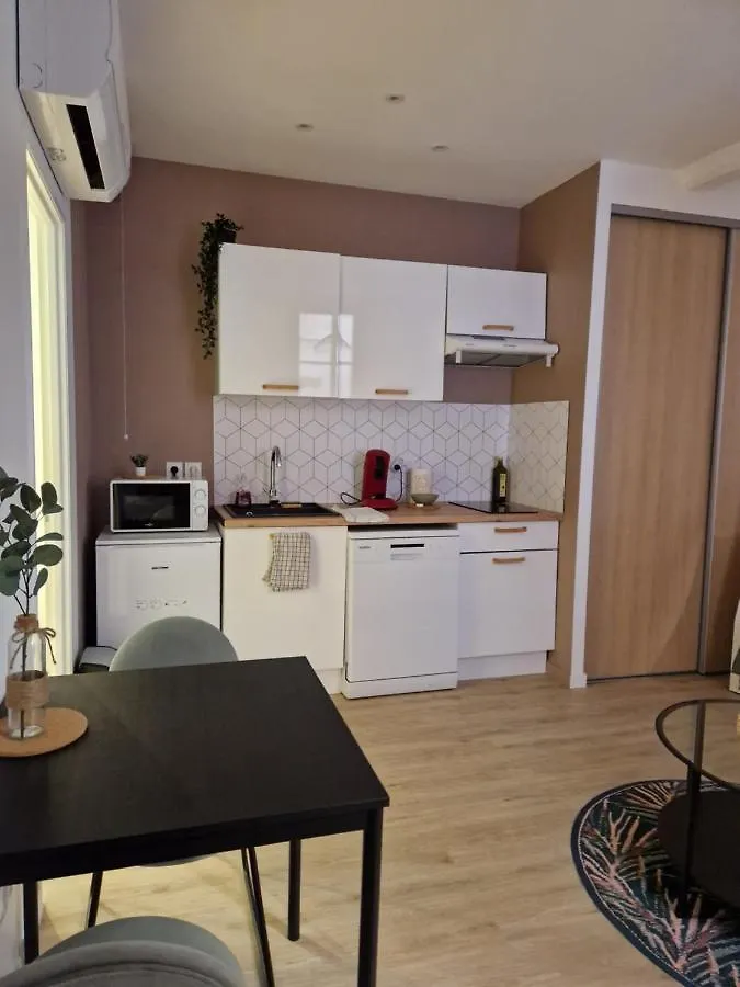 Chal1 37M2 A 200 M Du Capitole Apartment Toulouse France