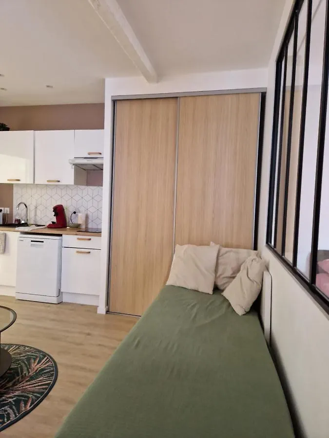 Chal1 37M2 A 200 M Du Capitole Apartment Toulouse 0*,  France