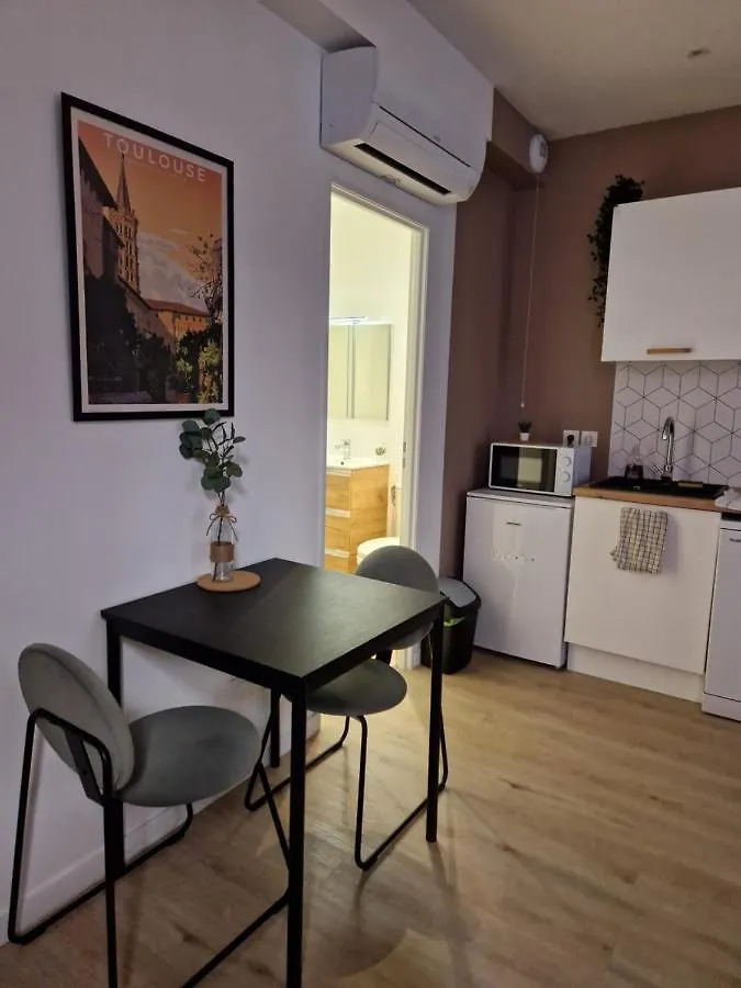 Chal1 37M2 A 200 M Du Capitole Apartment Toulouse